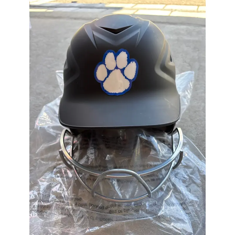 All Star Adult batting helmet with Cage