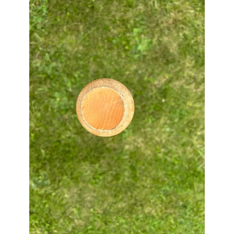 Baseball Wood bat