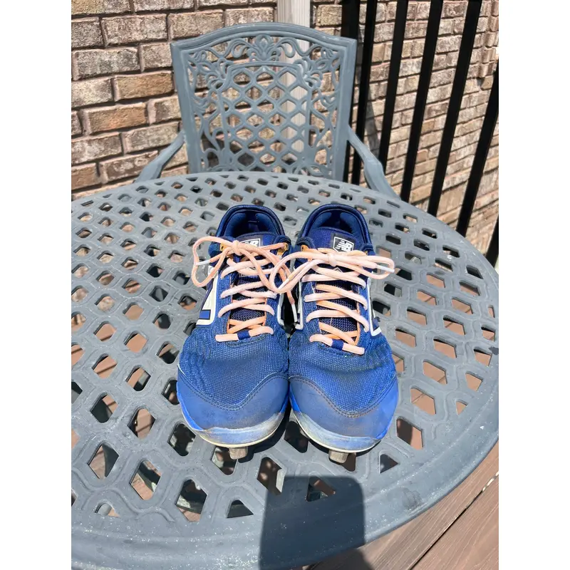 Blue Men's Metal Low Top 3000v5