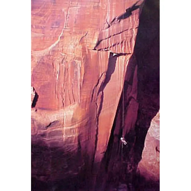 Rappeling Space Shot, Zion, UT - Pomegranate
