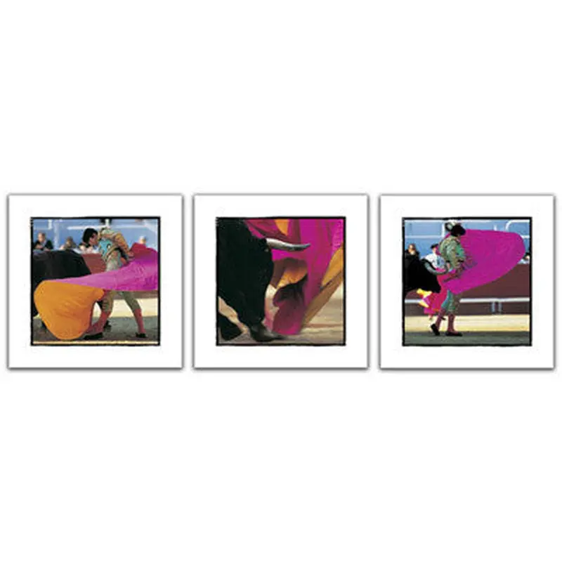 Bull Fighting Triptych by Gilles Martin-Raget 3 Poster Set - Pecheur 2005