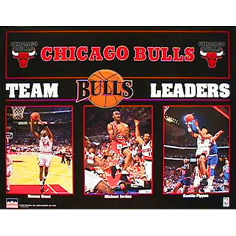 Chicago Bulls Team Leaders 1993 16x20 Poster (Michael Jordan, Pippen, Grant) - Starline