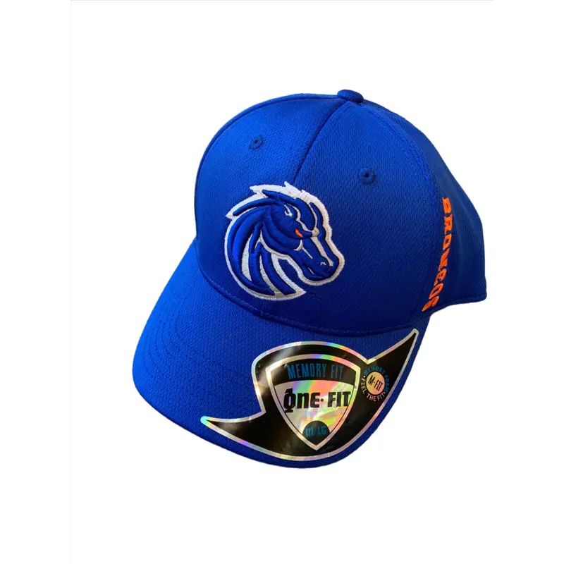 Blue Boise State Broncos Logo Hat