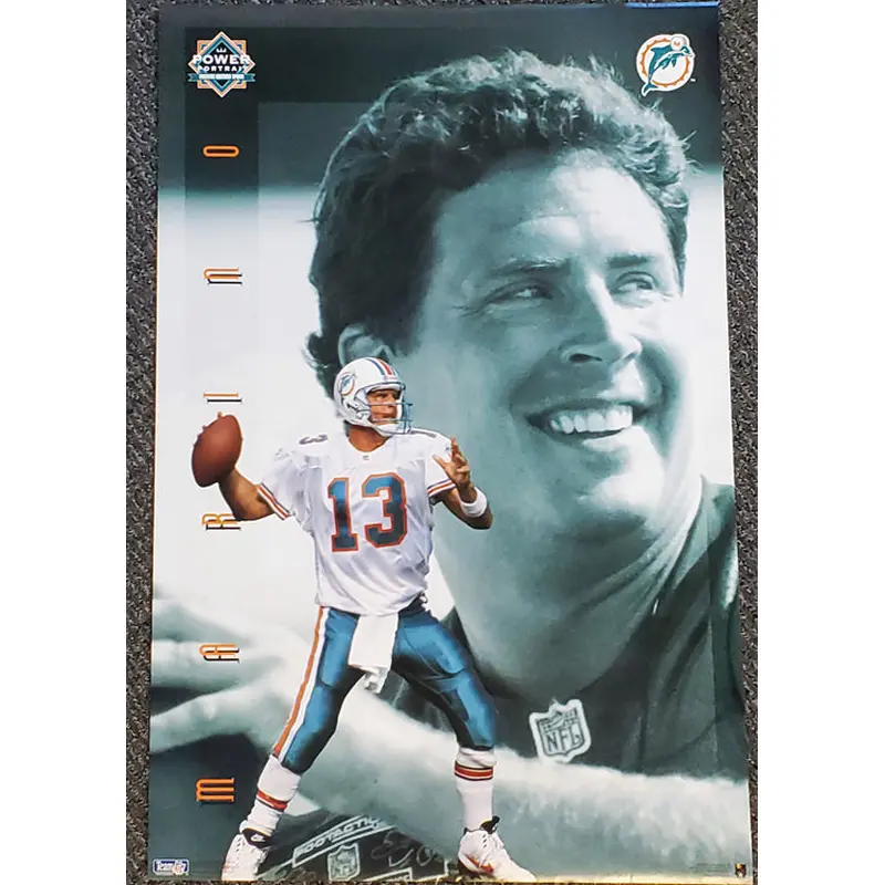 Dan Marino "Power Portrait" (1995) Miami Dolphins QB NFL Action Poster - Costacos Brothers
