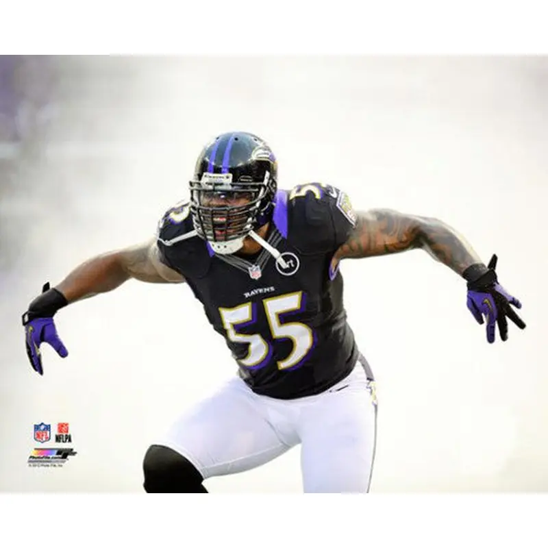 Terrell Suggs "Cloudburst" Baltimore Ravens Premium Poster Print - Photofile 16x20