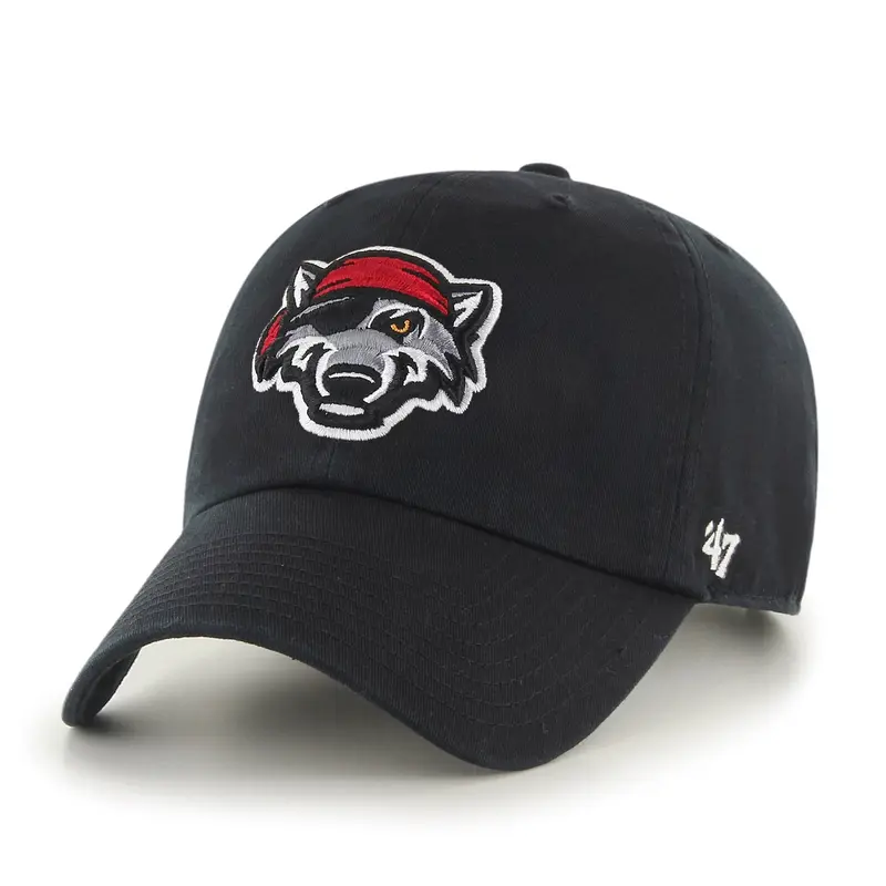 ERIE SEAWOLVES '47 CLEAN UP