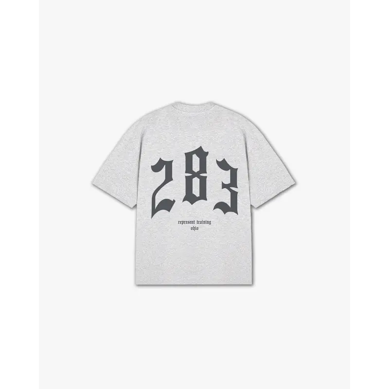 THE (283) VANQUISH TRAINING V2 ELITE TEE
