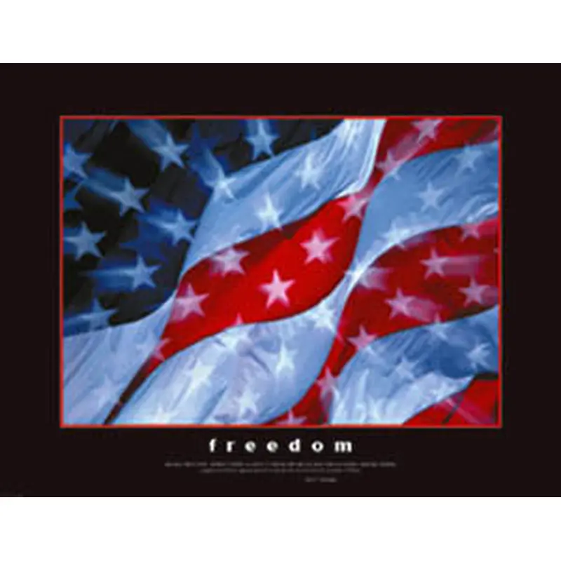 American Flag "Freedom" (JFK Quote) Premium Poster Print - Eurographics Inc.