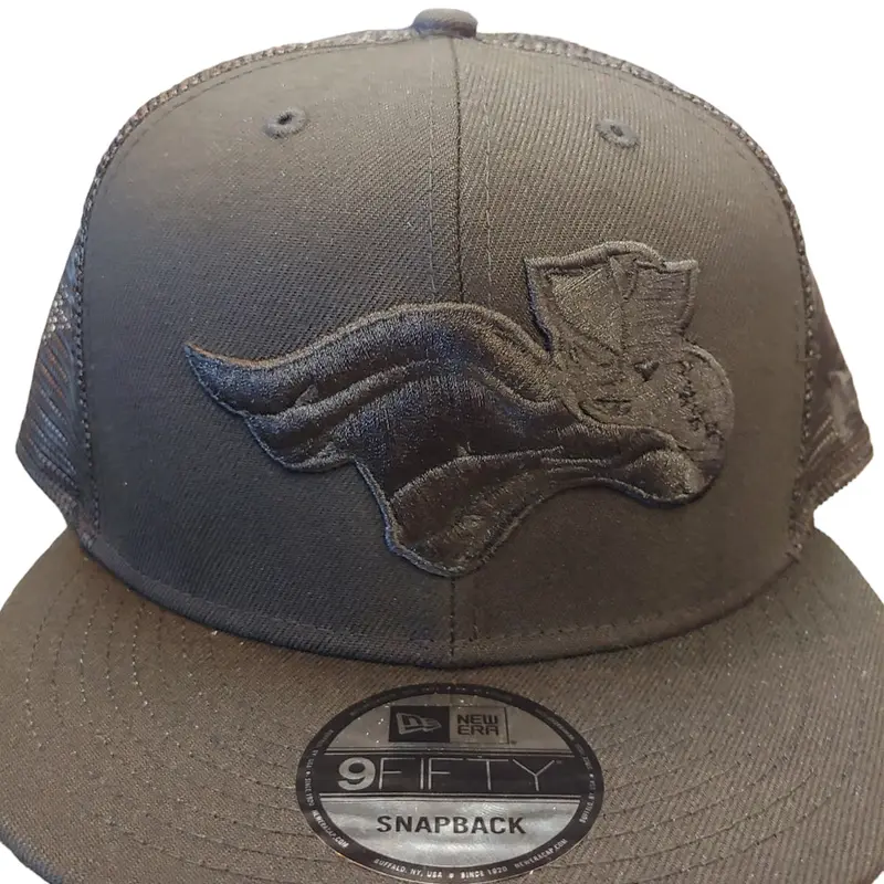 Somerset Patriots 9Fifty New Era Black Out ICON Flat Bill Snap Back Cap