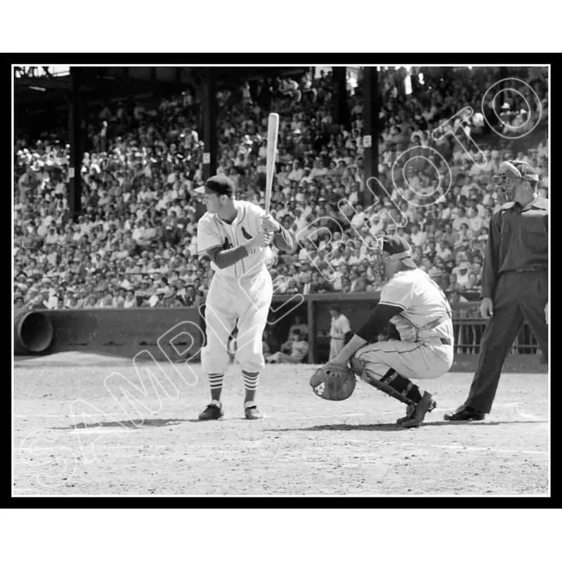 Stan Musial 8X10 Photo - St. Louis Cardinals - 588