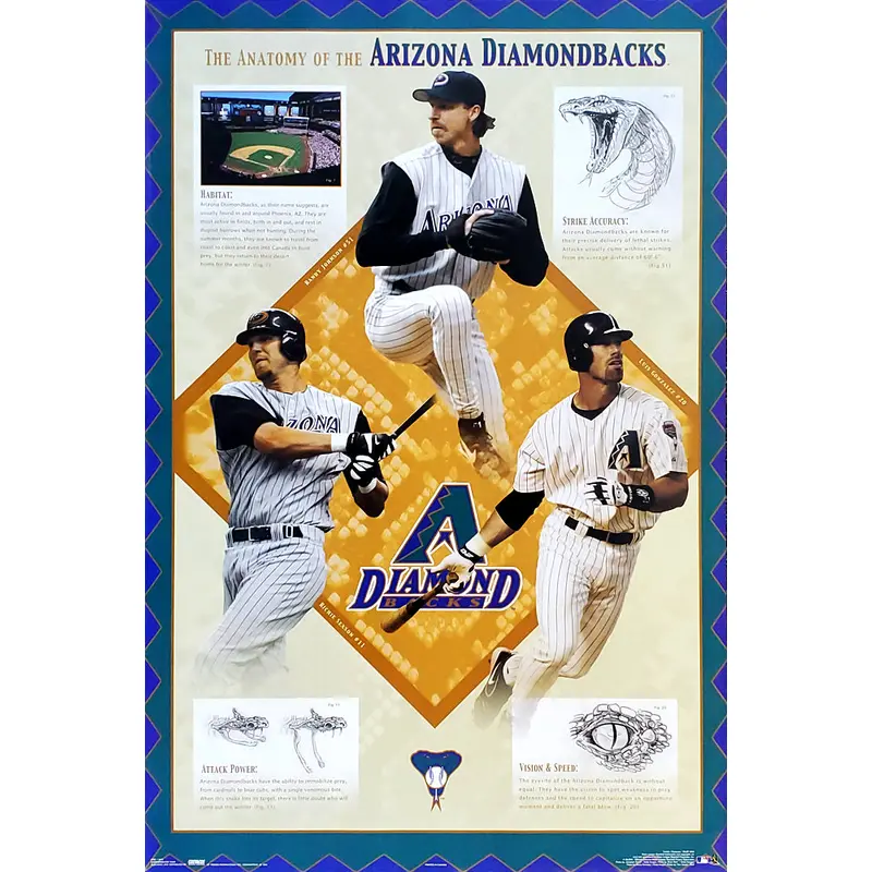 Arizona Diamondbacks "Anatomy" Poster (Randy Johnson, Luis Gonzalez, Sexson) - Costacos 2003