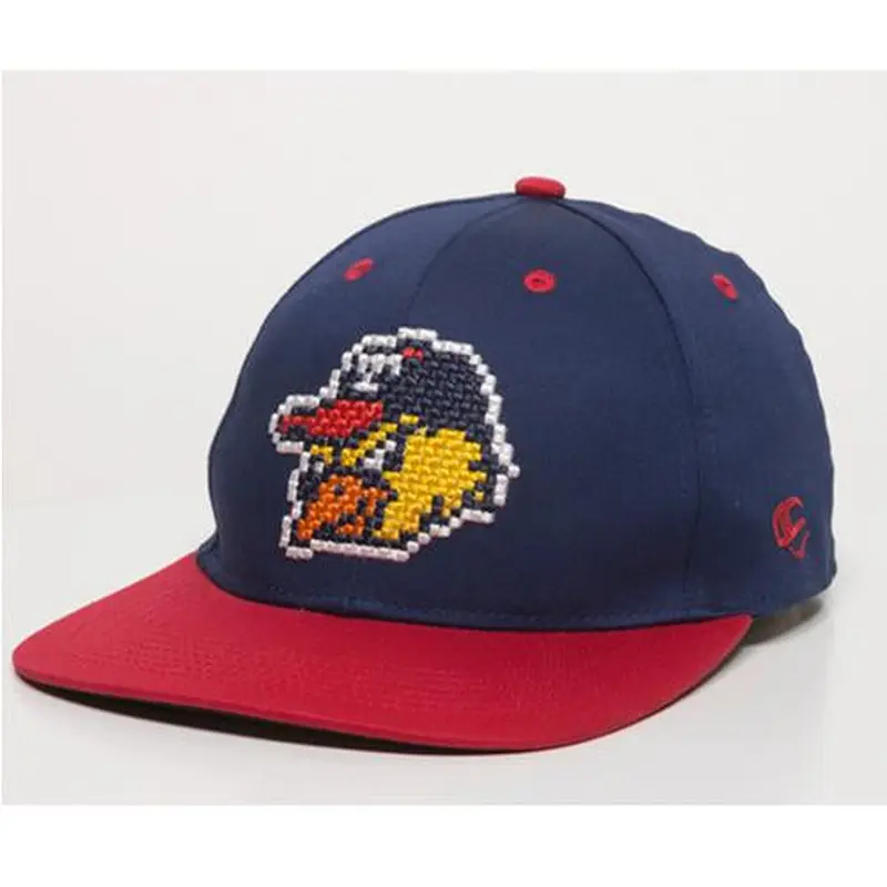 Youth 8-Bit Pixel Hens Cap