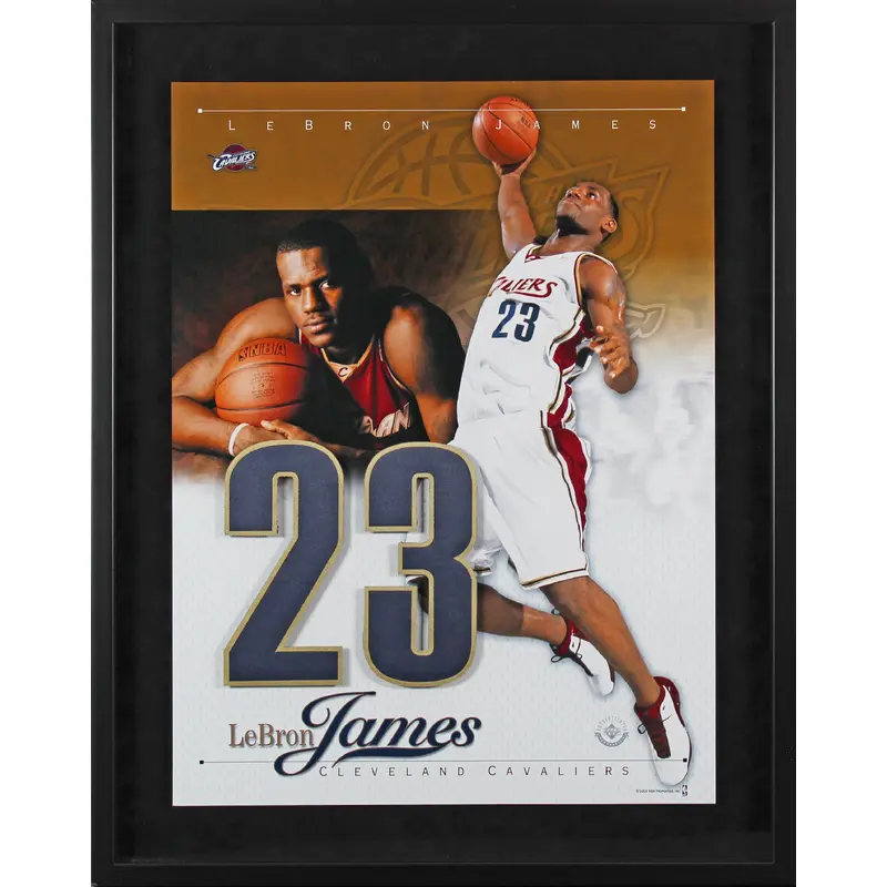 Cavaliers LeBron James Framed Display Un-signed #LBJFRMD1