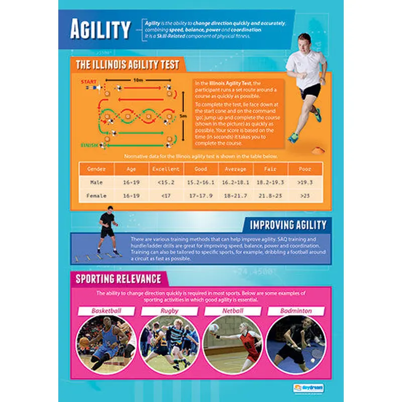 Physical Education AGILITY Professional Fitness Wall Chart Poster - Posterfit