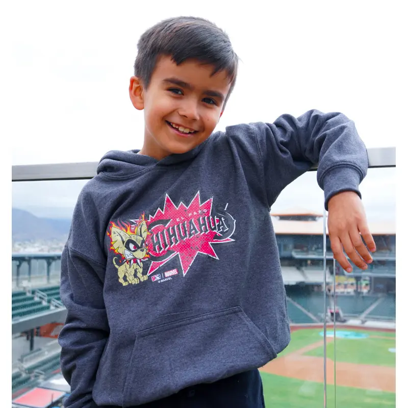 Chihuahuas Marvel's Defenders of the Diamond Youth Heather Graphite Hoodie
