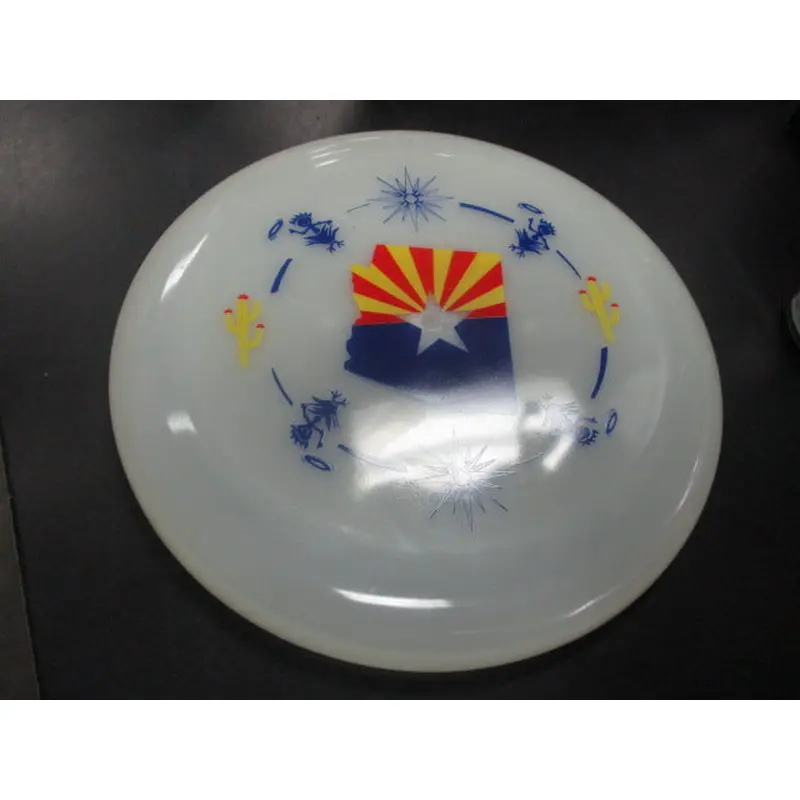 New Funn & Frolic Poster Art Frisbee AZ