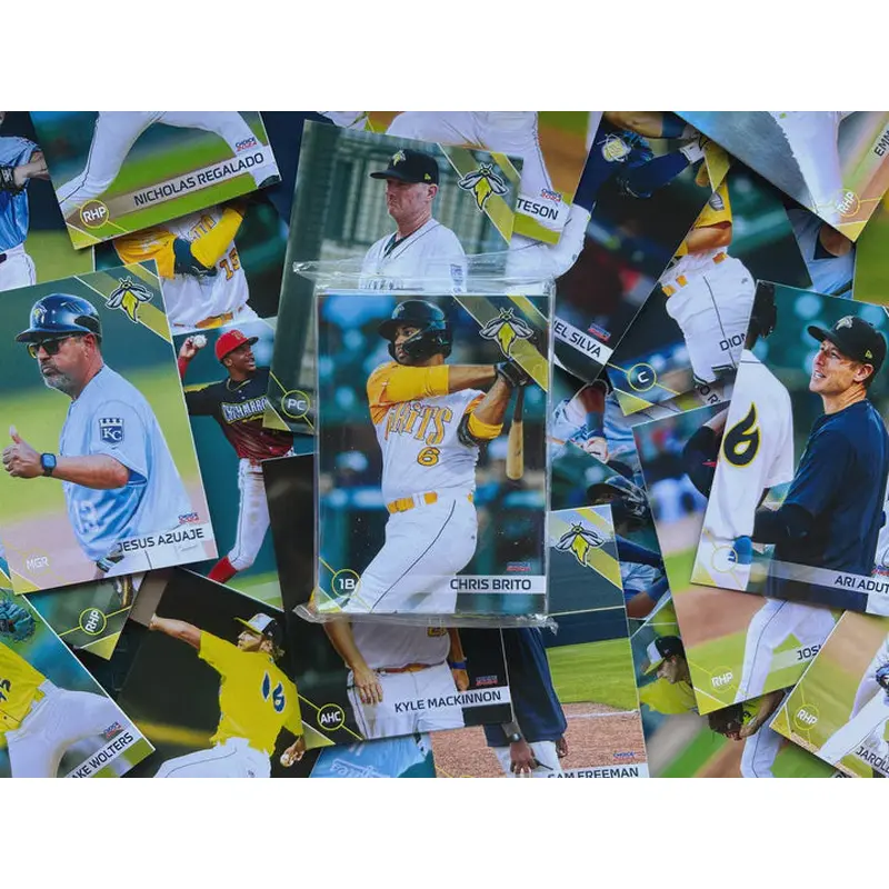 Fireflies 2024 Team Set