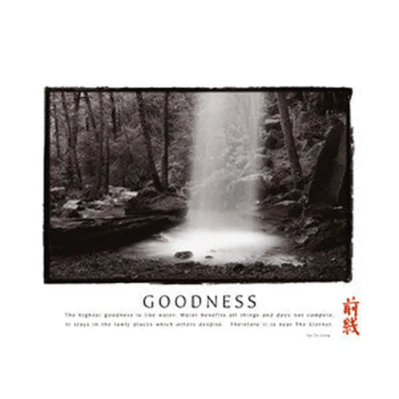 Waterfall "Goodness" Tao Wisdom Motivational - Front Line