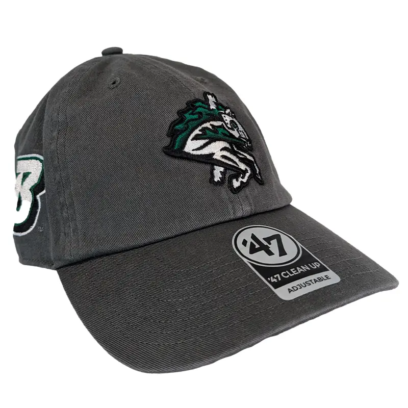 Binghamton Rumble Ponies X Binghamton Bearcats Shot Clean Up Hat
