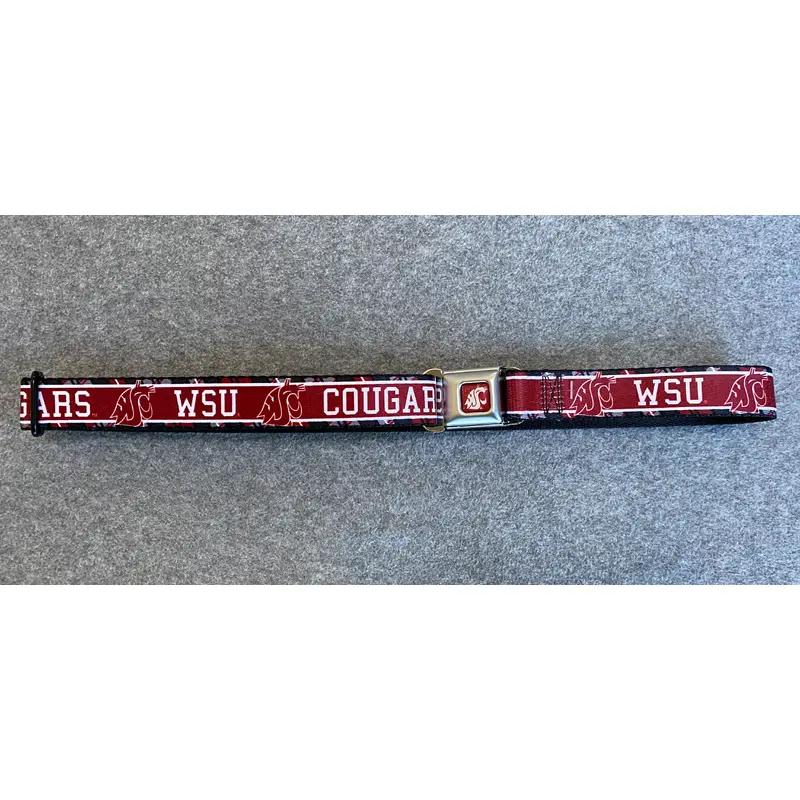 Crimson Kids WSU Buckle-Down Belt