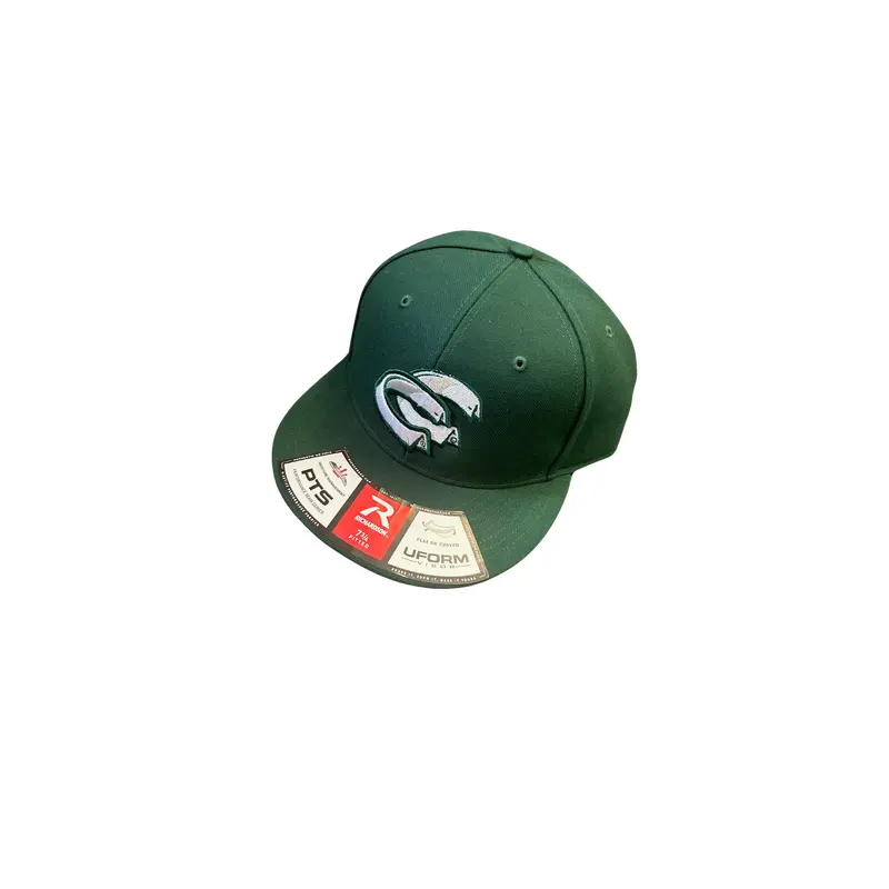 Collar City Cats Fitted On Field Hat