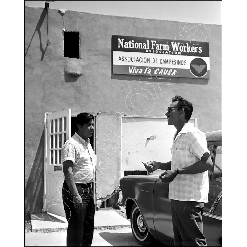 1966 Caesar Chavez 8X10 Photo - 2674