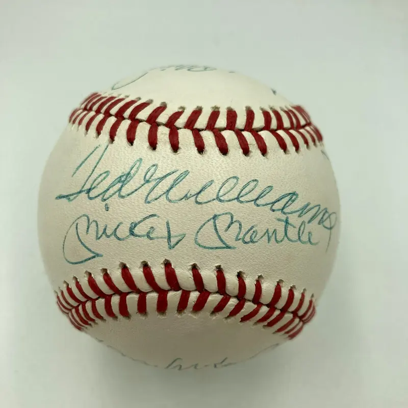 500 Home Run Signed Baseball Mickey Mantle Ted Williams Willie Mays 11 Sigs JSA