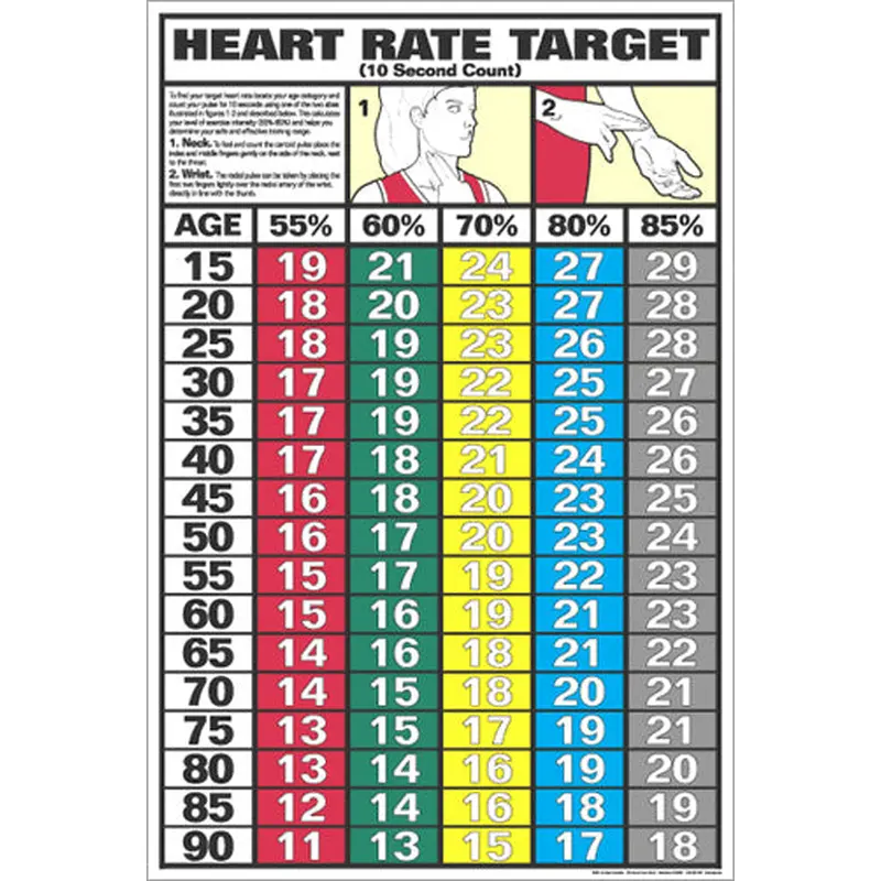 Heart Rate Target Cardiovascular Fitness Workout Wall Chart Poster - Fitnus Corp.