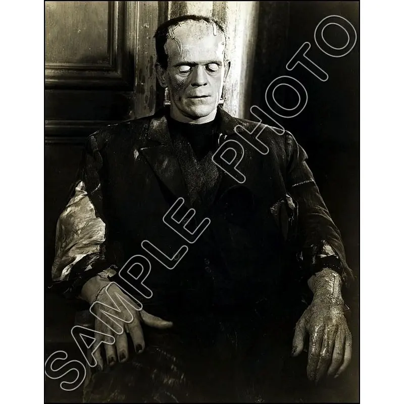 1935 Boris Karloff 11X14 Photo - Bride Of Frankenstein - 3205