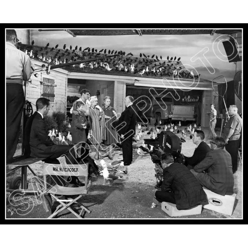 1963 Alfred Hitchcock 8X10 Photo - The Birds - 3186