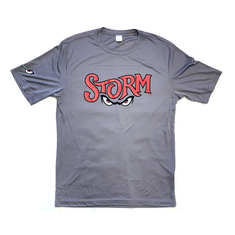 Lake Elsinore Storm New Wordmark Performance Tee - Grey