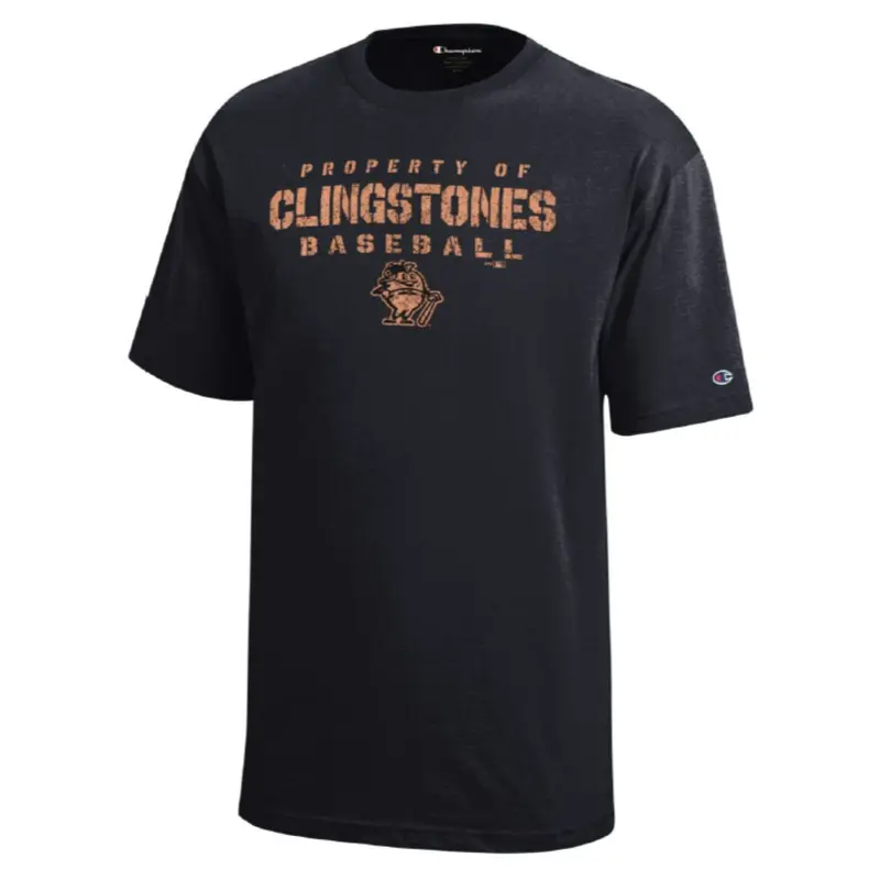 Youth Short Sleeve Jersey Tee