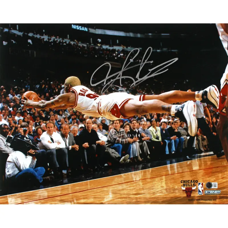 Bulls Dennis Rodman Authentic Signed 16x20 Horizontal Diving Photo BAS Witnessed