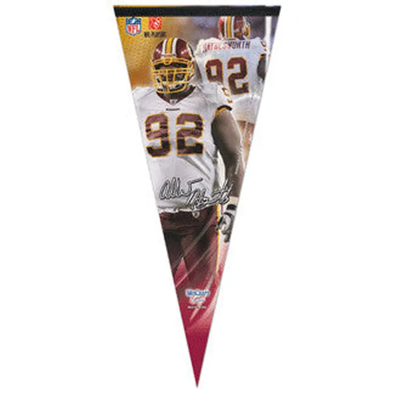 Albert Haynesworth "Big-Time" EXTRA-LARGE Premium Felt Pennant - Wincraft