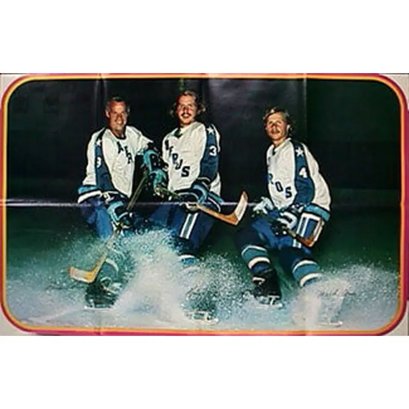 Gordie Howe and "The Howes of Houston" Fold-Out WHA Houston Aeros Poster - WHA 1973