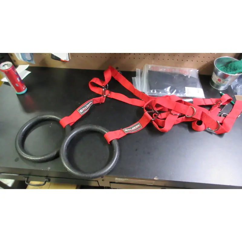 Used Body By Jake I.M. Weight Training Rings