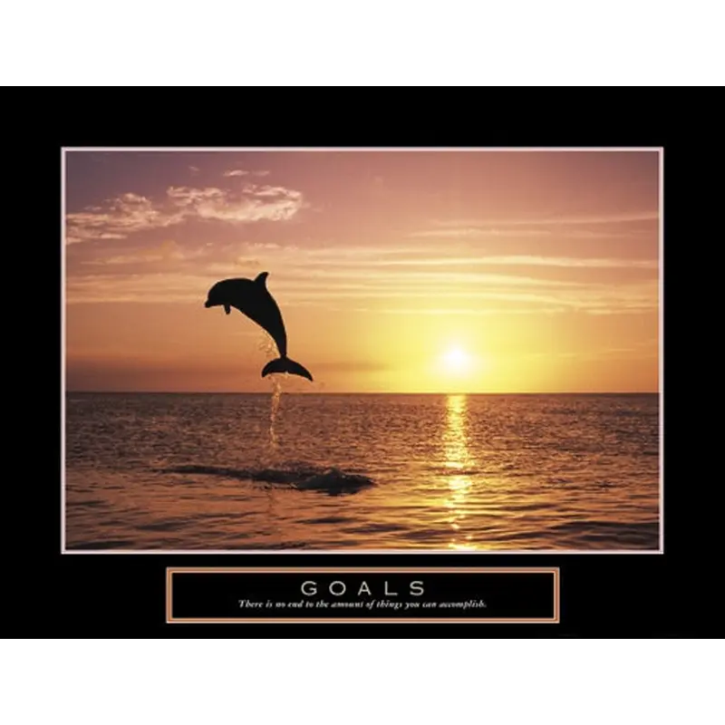 Dolphin in Flight "Goals" Motivational Inspirational Poster Print - Front Line