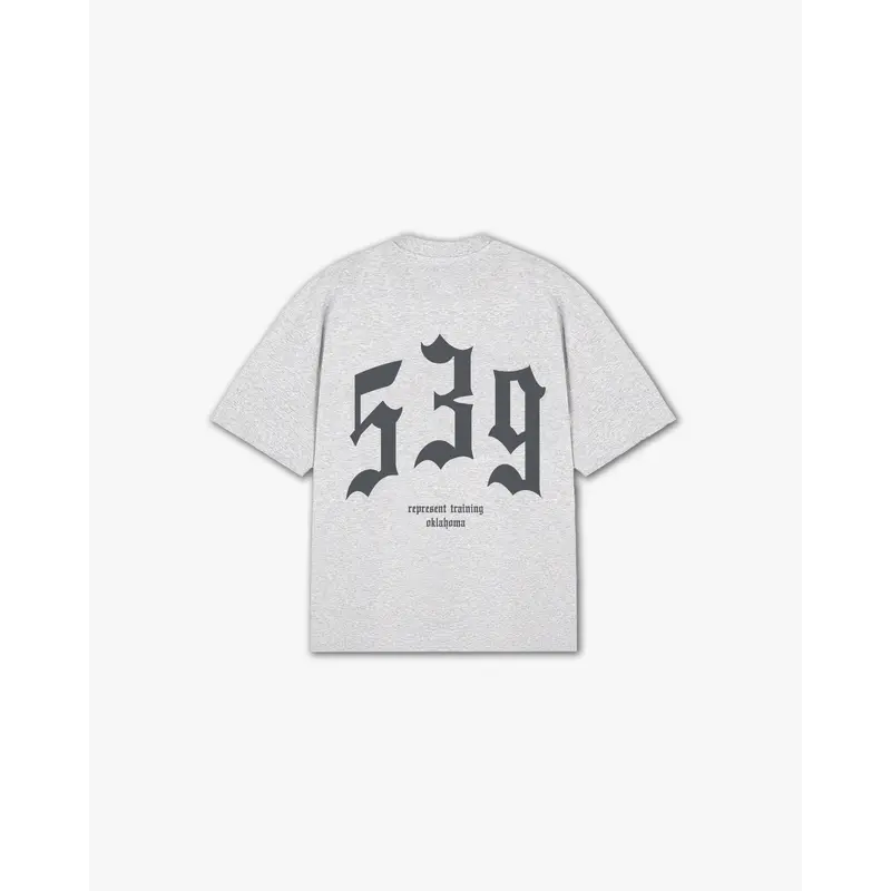 THE (539) VANQUISH TRAINING V2 ELITE TEE