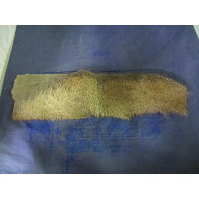 Used Premo Elk Strip