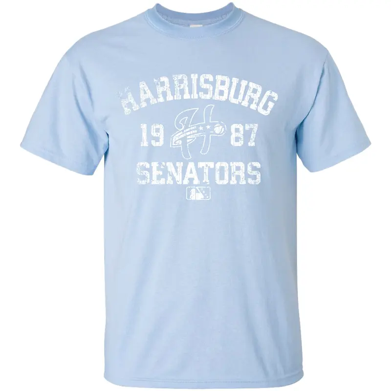 Harrisburg Senators Light Blue Backbow Tee