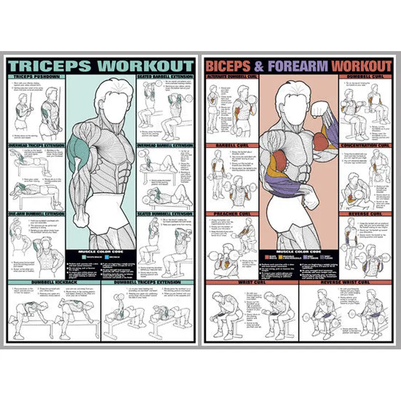 Arm Workout Instructional 2-Poster Professional Fitness Wall Chart Combo - Fitnus Corp.