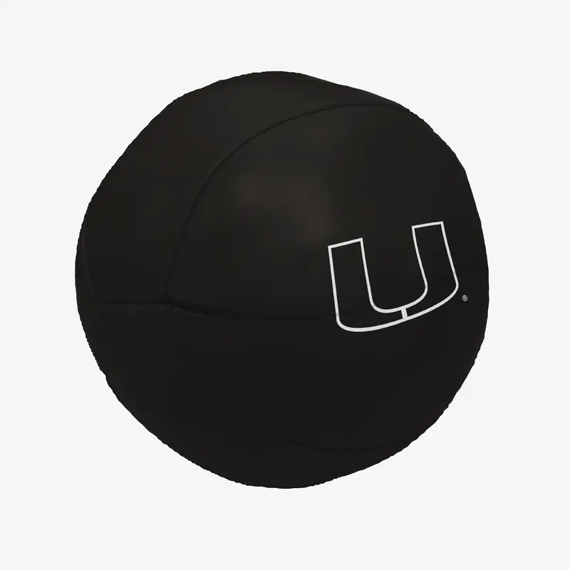 Miami 4 in. Micro Soft Basketball